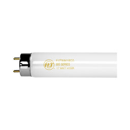 F28T8/841/ECO/IC.HAL (30156-109366) 4FT 28W 4100K