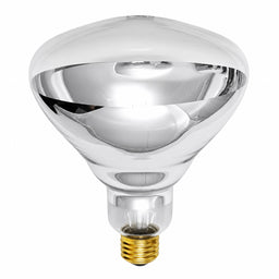 PFA-250R40/1 BR40 Heat 250W 230V Clr Teflon
