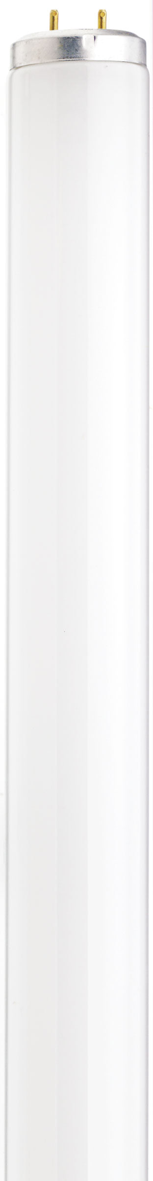 F25T12/CW/28.SATCO (S26568) 25W T12 28"