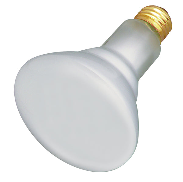 65BR30/TC.SAT (S4887) 65W R-30 Tough Coat