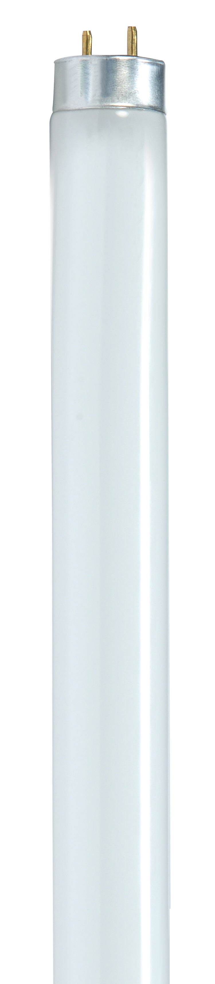 F25T8/865/ENV T8 3FT 25W 65K G13 2150LMNS