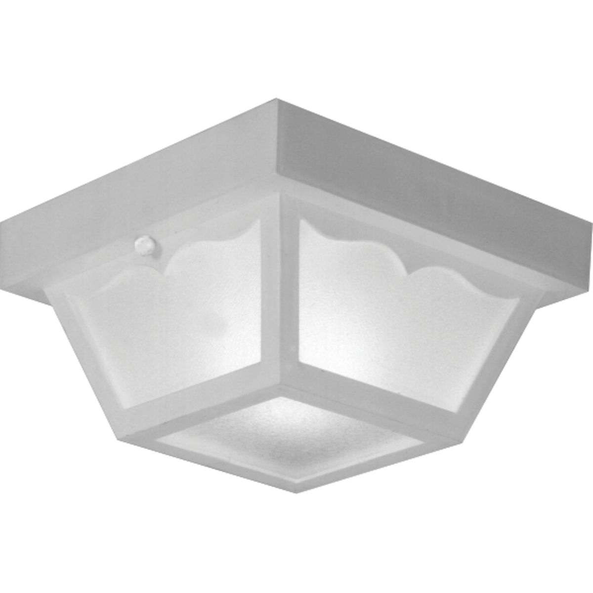 P5744-30 Carriage Light 60W Max.