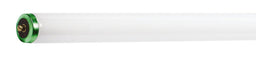 F96T12/830/EW/ALTO (142695/36656) 8FT60W T12 Wrm